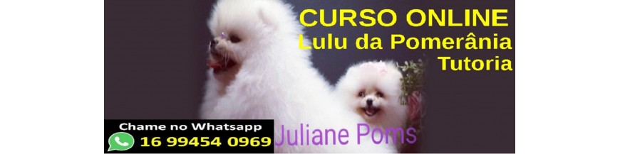 Curso online Lulu da pomerania 